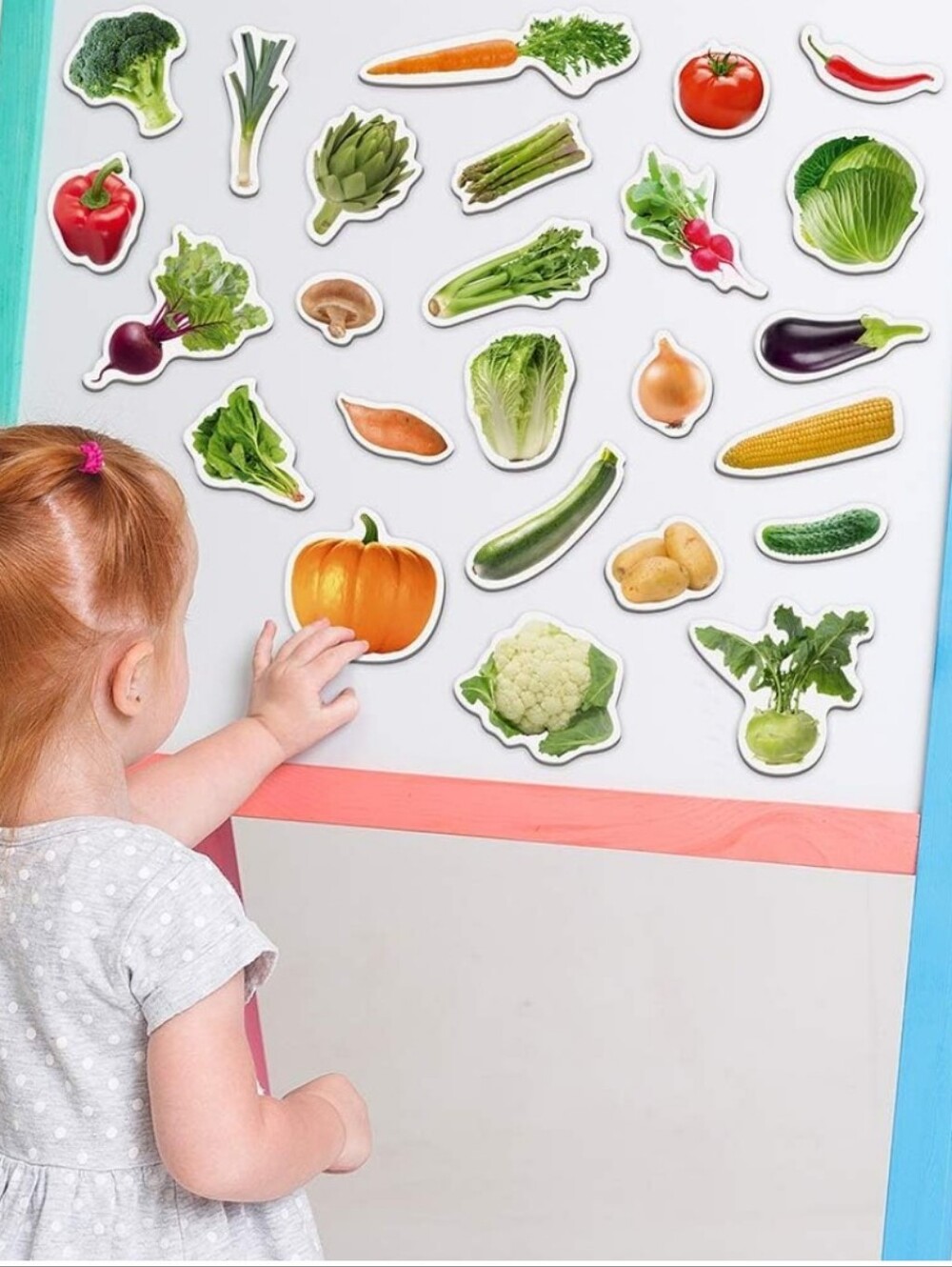 Fruit & Vegetable Magnet Set Of 50 - Picture 2 of 4